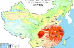重庆高温把路都晒化了 网友晒图调侃：四川高温下葡萄也有烦恼 都晒成干了