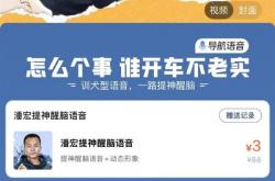 直播给狗洗澡致死引热议 高德地图下架网红潘宏导航语音包