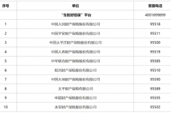车险好投保”平台今日上线：高赔付风险新能源汽车投保 险企不得拒保