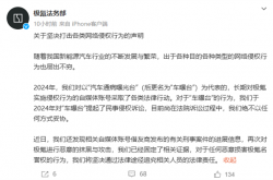 极氪法务部最新发声：有自媒体借友商刑事案件进展再次抹黑极氪