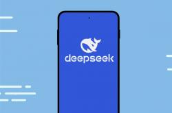 当我问DeepSeek能否帮做寒假作业 DeepSeek：更重要的是要帮你学会学习