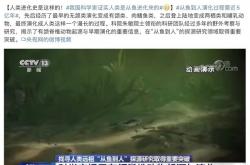 我国科学家证实人类是由鱼进化而来 从猿到人破灭了？