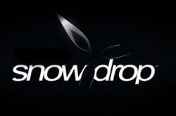 AMD宣布与育碧达成合作：协助优化Snowdrop引擎性能