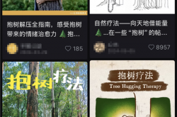 如何“治内耗”，一种最简单的方式！强烈建议你试试