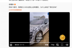 小米YU7路测车惊现海拔4600米青藏高原 雷军回应