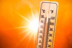 今年夏天热死蚊子 为何这么热：专家解释原因