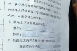 小孩哥作业被热没了崩溃大哭 全怪这种笔 遇高温字迹消失