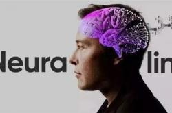 Neuralink首次一天内完成两台手术：未来将改变数十亿人的生活
