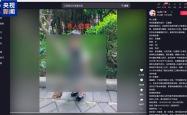为博取网络关注编造 “2岁女儿被抱走”！发布者被行拘