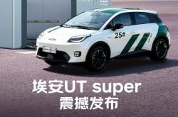 京东第一辆“国民好车”价格公布！最低仅4.99万元：500公里超长续航