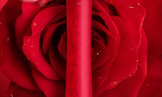 售价3.2万！董明珠回应玫瑰空调争议：这是世界首台 你不喜欢有人喜欢