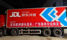 岭南荔枝送长安不算啥 如今48小时“鲜”达欧洲