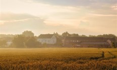 最新研究：农村5G基站少 手机辐射高于城市