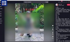 为博取网络关注编造 “2岁女儿被抱走”！发布者被行拘