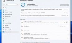 微软首次！Win11六月更新紧急叫停：出现兼容性问题、修复版正在路上