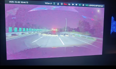 男子时速105公里撞上横穿高速野猪群：一下子灭掉5头