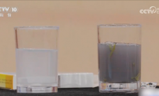 为何不建议用茶水送服药物