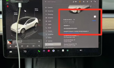 脑瘫司机开网约车养家：全靠特斯拉FSD
