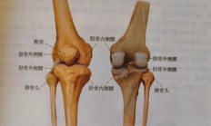 走路时膝盖突然“软”一下 别以为是累了 或许是这些疾病的信号