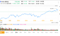 英伟达股票暴跌超6% 市值较最高点跌去1万亿美元