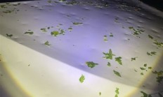 北京冰雹车盖被砸出气泡膜！车主：车玻璃砸碎 车身全是坑