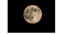 年度最大超级月亮登场！各地网友晒图堪比摄影大赛