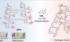 大豆不只能做豆腐！清华团队把大豆做成固态电池电解质 安全且环保