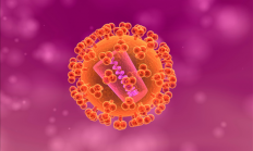 法艾滋病病毒感染者实现功能性治愈：免疫功能基本正常