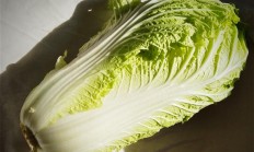 韩国“金菜危机”今年或卷土重来 去年一棵白菜售价曾超50元