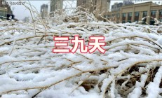 三九天要吃什么？“吃2样，做1事”暖身又暖胃，冬天不怕冷！