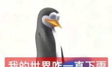 真的想问：下雨天的时候 鸟都在干什么呢