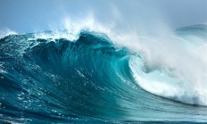 海滩退潮遍地生蚝 市民捡到手软