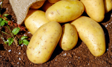 7件你不该放进冰箱冷冻区的食物！有些可能会爆炸！