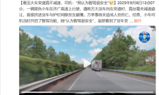 看见大车变道竟不减速直撞上去 女司机：我认为智驾很安全