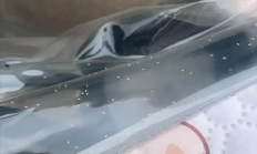 河南多地遭“小白虫”侵袭：成群飞虫影响市民出行