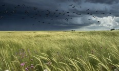 北方多地现9级大风：速度堪比行驶中的地铁