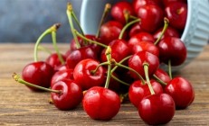 为什么车厘子一个月到中国却不腐烂：让它冬眠了 无需防腐剂