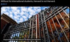 哈佛大学获批暂时继续接受国际学生 特朗普禁令被叫停