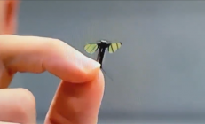 新突破！我国成功研发蚊子大小仿生机器人