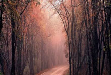 意大利车手在军舰甲板上开法拉利跑车疾驰 创“最快船载汽车”世界纪录