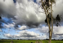 人类首次“看到”了黑洞，质量约为太阳的65亿倍