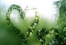 小狗见马路上有50块钱 四处张望等车过去 冲上前叼起跑回家