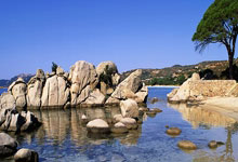 国内一男子开特斯拉狂飙至200码 结果高速撞车