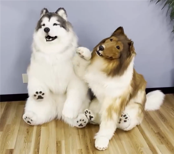 让更多人“当狗”:日本扮狗男子建立扮狗动物园