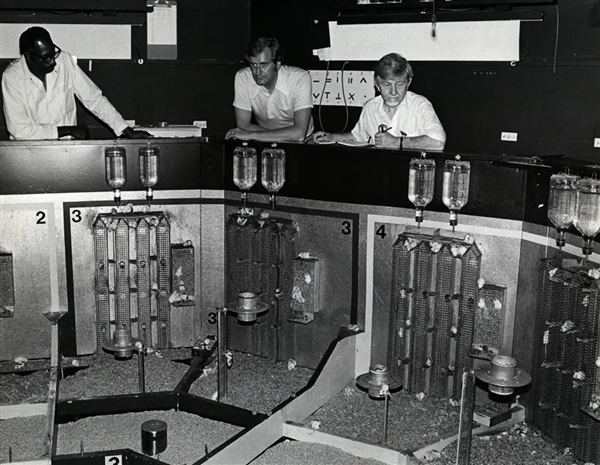 恐怖的25号宇宙实验:当所有需求得到满足 老鼠却迎来世界末日