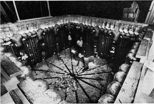 恐怖的25号宇宙实验:当所有需求得到满足 老鼠却迎来世界末日