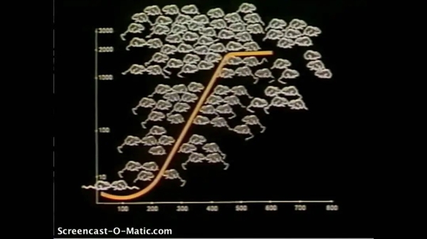 恐怖的25号宇宙实验:当所有需求得到满足 老鼠却迎来世界末日