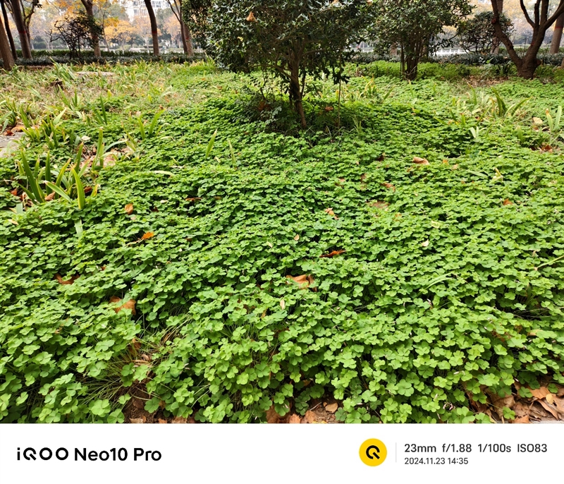 全球首款天玑9400游戏机iQOO Neo10 Pro全面评测：144帧丝滑玩《星铁》真香！