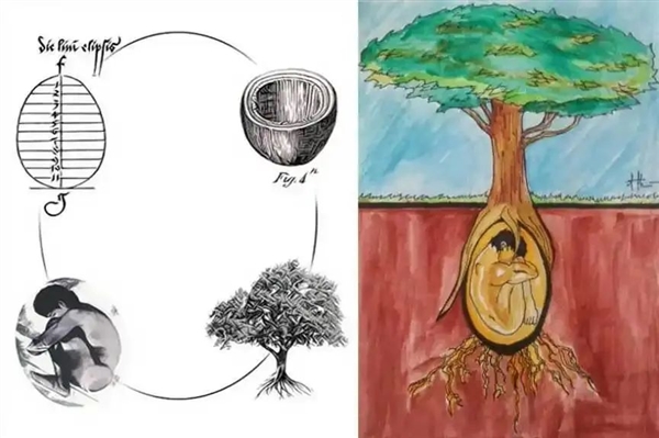 闻起来像蒸蛤蜊!美国流行水葬 碱水“焖煮”遗体化成液体和白骨