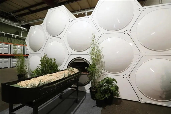 闻起来像蒸蛤蜊!美国流行水葬 碱水“焖煮”遗体化成液体和白骨